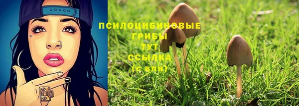 первитин Абинск