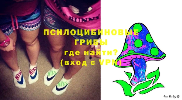 тгк Абаза