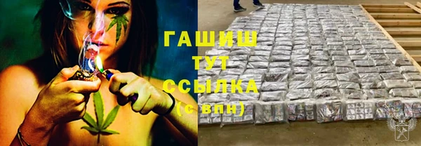 амф Осташков