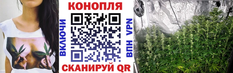 Бошки Шишки гибрид хочу Сысерть